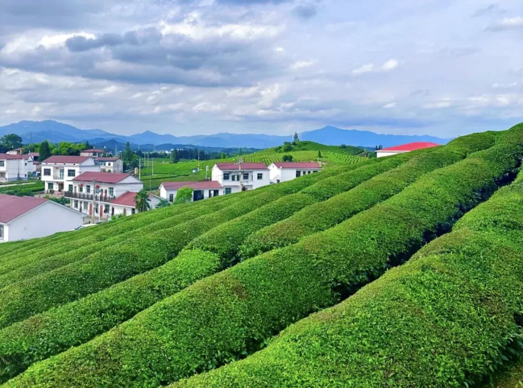 成都景德镇直飞航线开通 2。5小时直达 往返含税900+ 周末往返