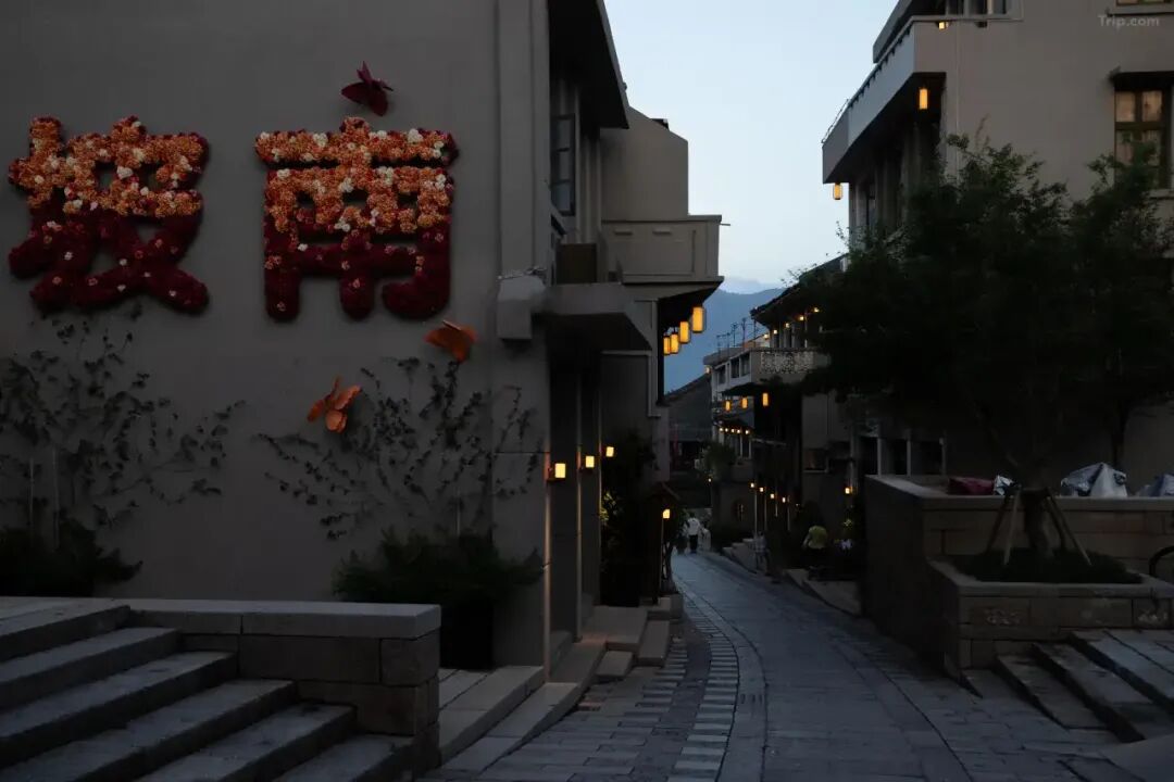 温州平阳坡南古街璀丽酒店458元起住庭院房周末寒假不加价有效期至明年3月