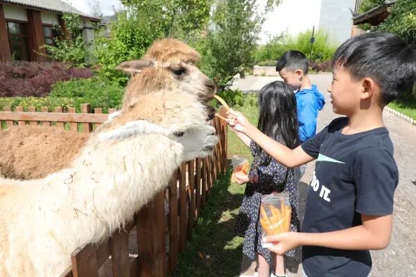 丽江日照北京三亚酒店大促：凯悦森泊特惠周末不加价