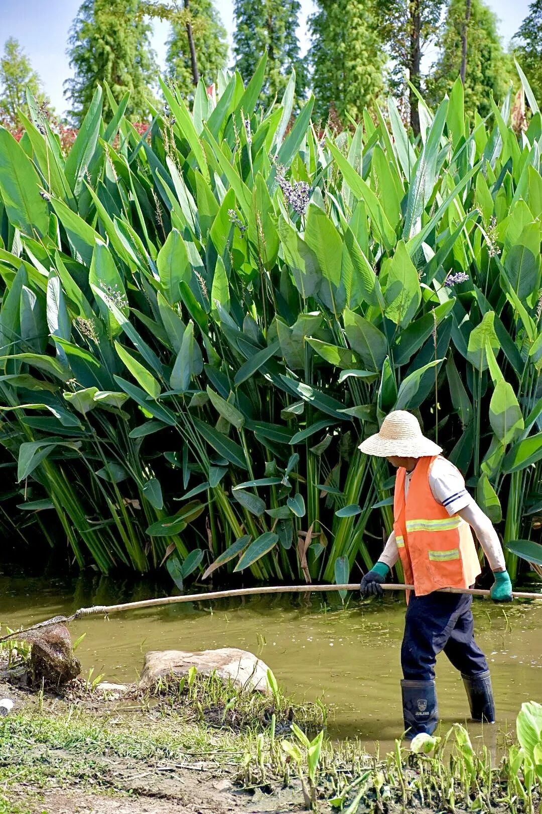 16戏剧学院庄晶晶作品"镜头下的劳动之美"点击下方作者学院和姓名,为