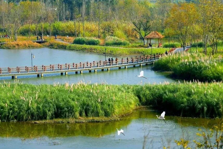 蜿蜒的河流是锦江区的"阿勒泰"白鹭湾湿地公园泛一艘小船,看美景如画