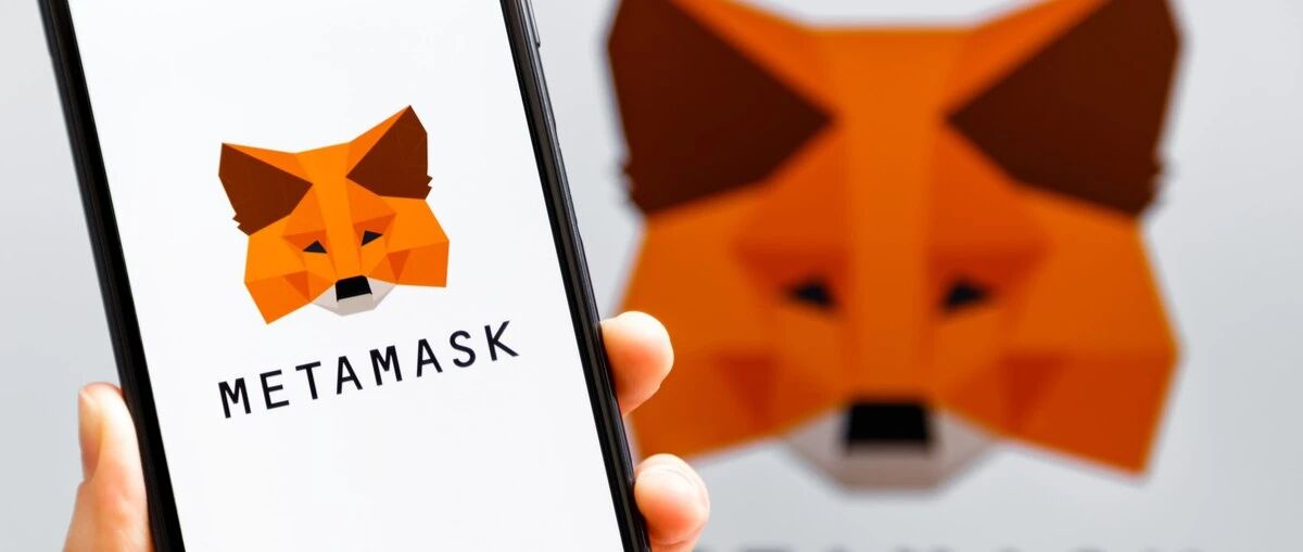MetaMask 攻略：普通用戶如何應對小狐貍記錄 IP ？圖片