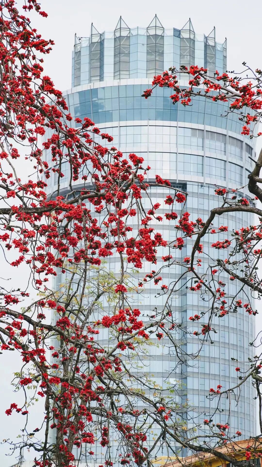 △肇庆市融媒体中心记者 吴勇强 摄