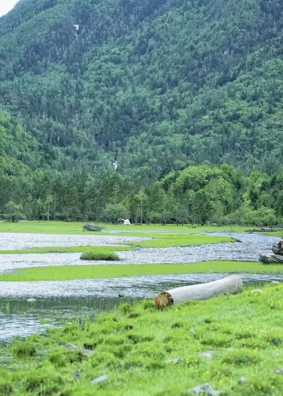 "阿勒泰",我在甘孜等你,你不来,我不老!