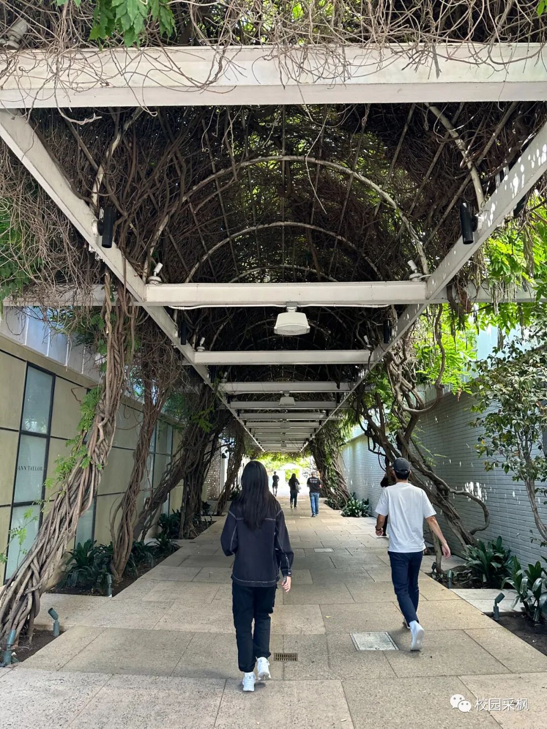 宿舍床一般长多少宽多少大学_大学宿舍的床一般是什么尺寸_大学的宿舍床多宽