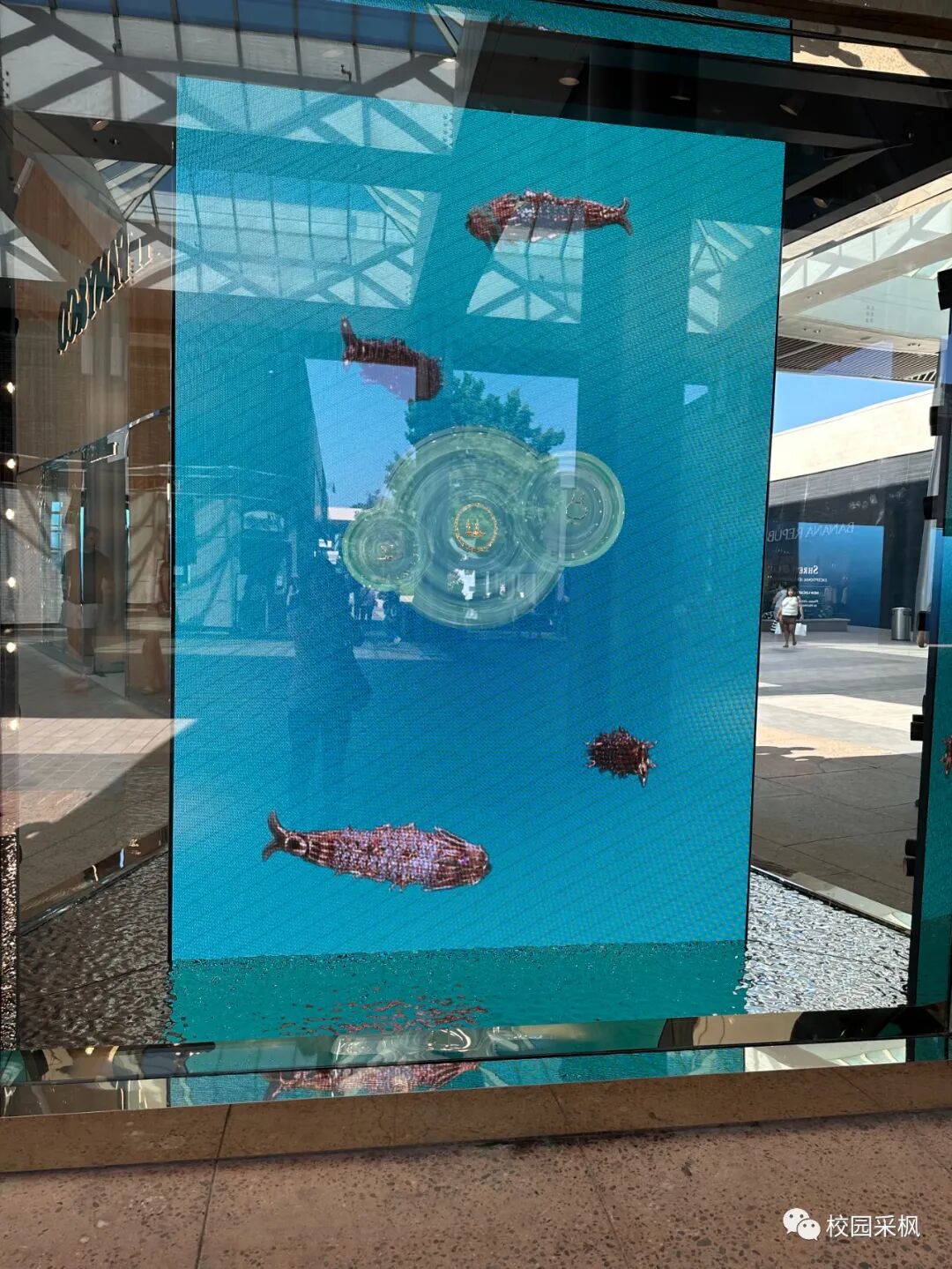 大学的宿舍床多宽_大学宿舍的床一般是什么尺寸_宿舍床一般长多少宽多少大学