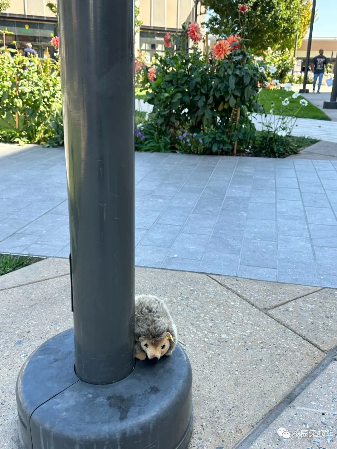 大学的宿舍床多宽_宿舍床一般长多少宽多少大学_大学宿舍的床一般是什么尺寸