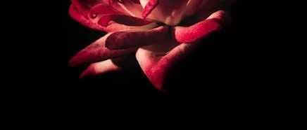 cover_image