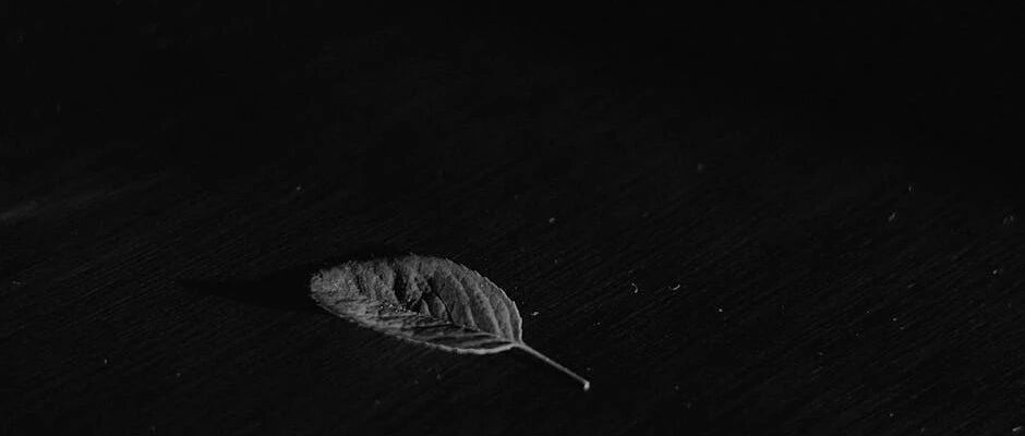cover_image