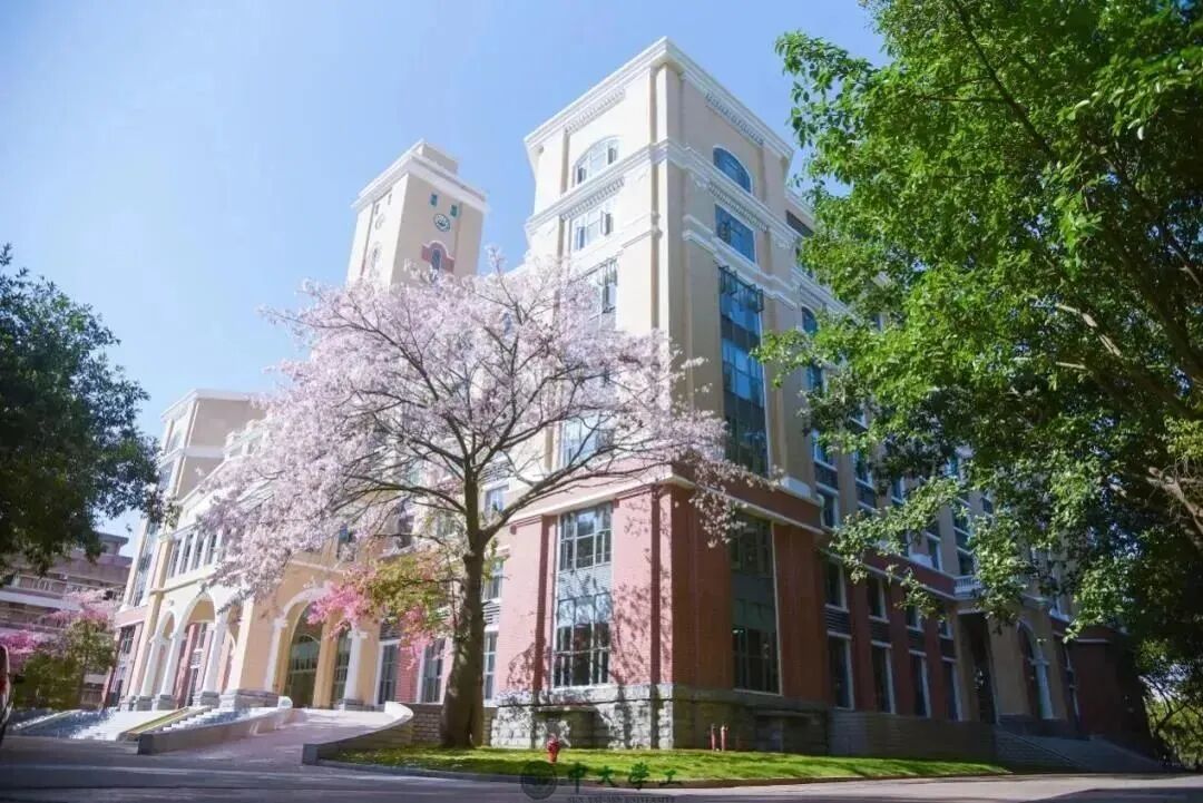 中山大学2025年公共管理硕士mpa招生简章（含24录取数据）