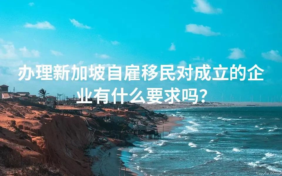 办理新加坡自雇移民对成立的企业有什么要求吗？