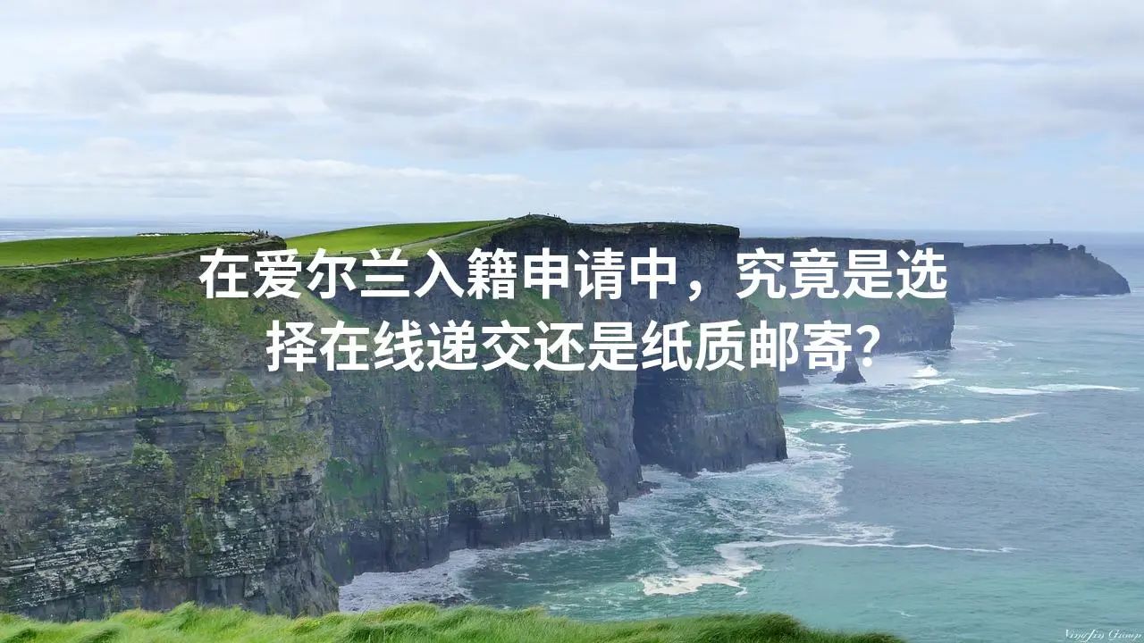 在爱尔兰入籍申请中，究竟是选择在线递交还是纸质邮寄？