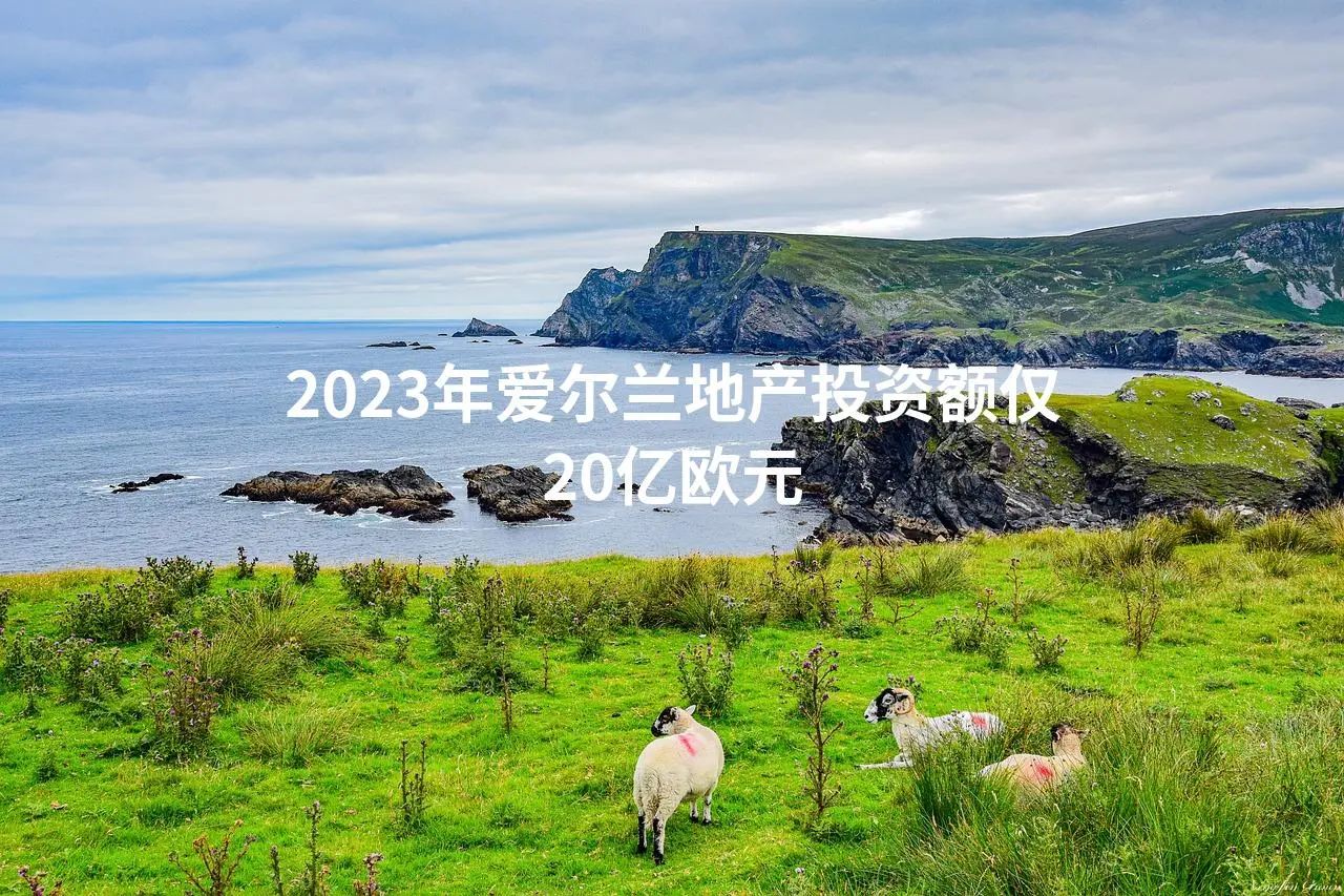 2023年爱尔兰地产投资额仅20亿欧元