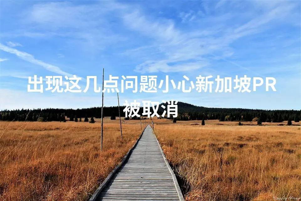 出现这几点问题小心新加坡PR被取消