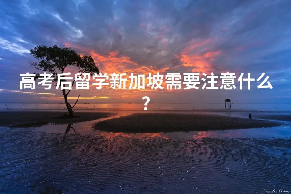 高考后留学新加坡需要注意什么？