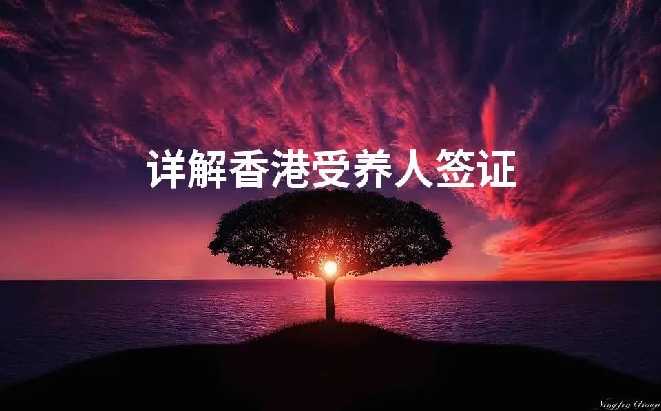 详解香港受养人签证