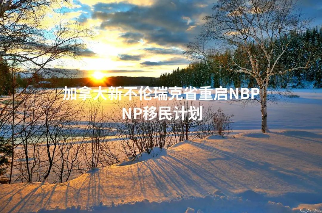 加拿大新不伦瑞克省重启NBPNP移民计划