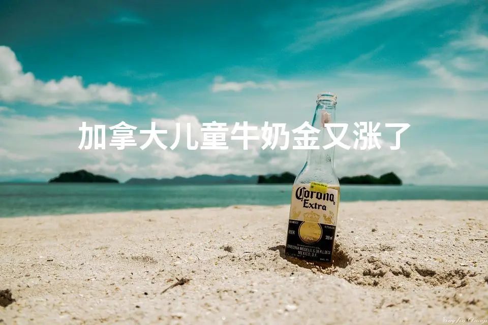 加拿大儿童牛奶金又涨了