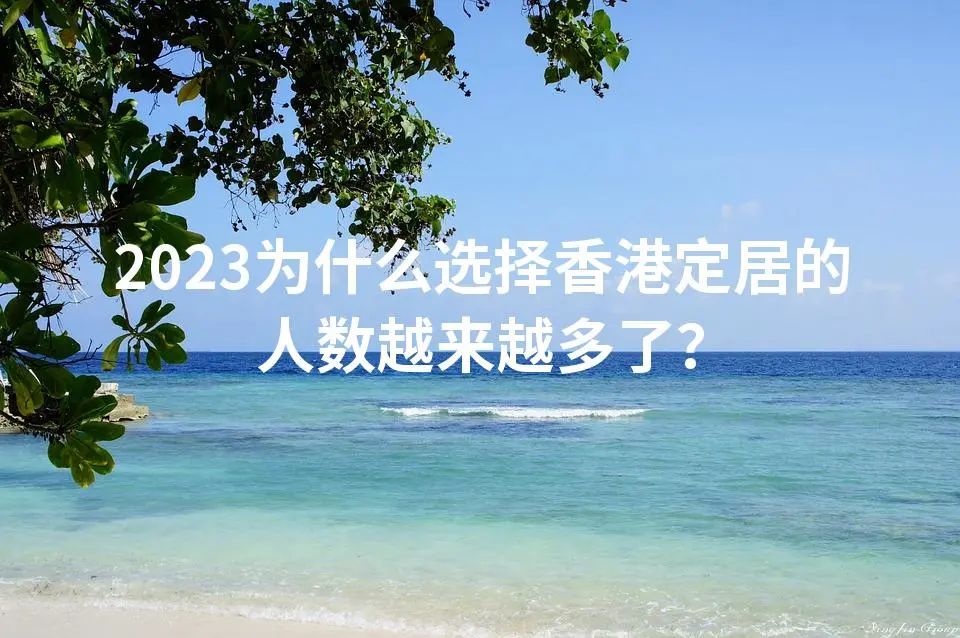 2023为什么选择香港定居的人数越来越多了？