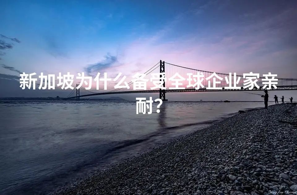 新加坡为什么备受全球企业家亲耐？