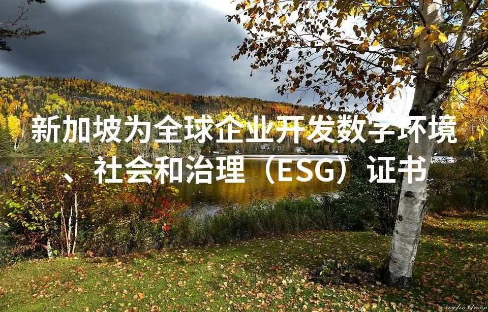 新加坡为全球企业开发数字环境、社会和治理（ESG）证书
