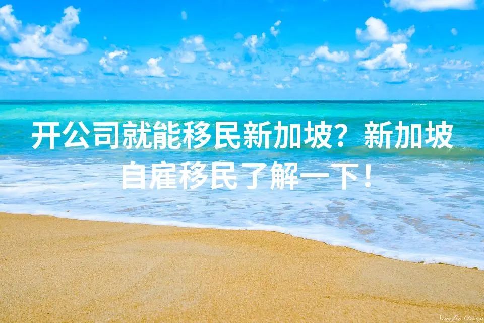 开公司就能移民新加坡？新加坡自雇移民了解一下！