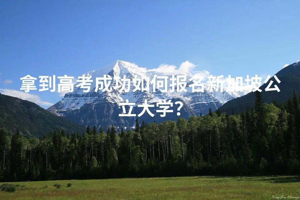 拿到高考成功如何报名新加坡公立大学？