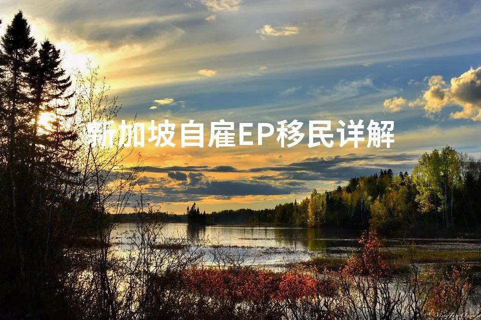 新加坡自雇EP移民详解