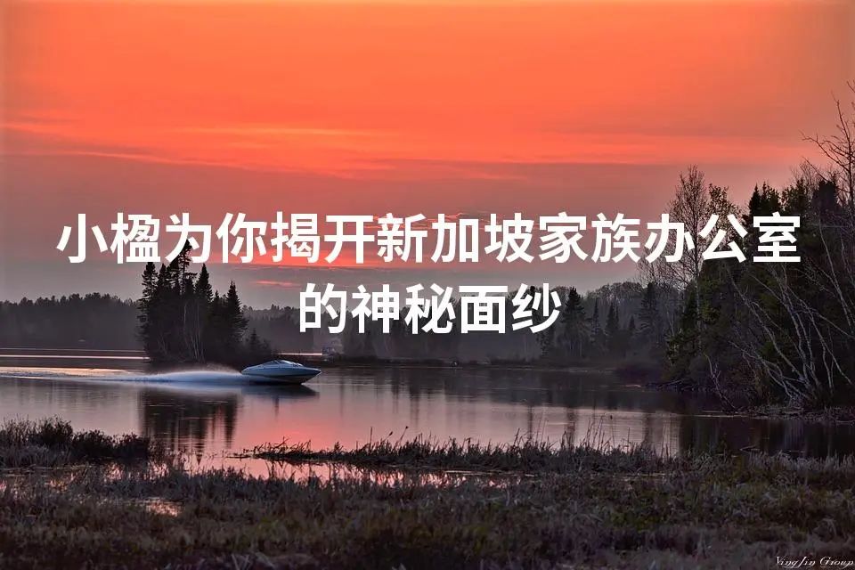 小楹为你揭开新加坡家族办公室的神秘面纱