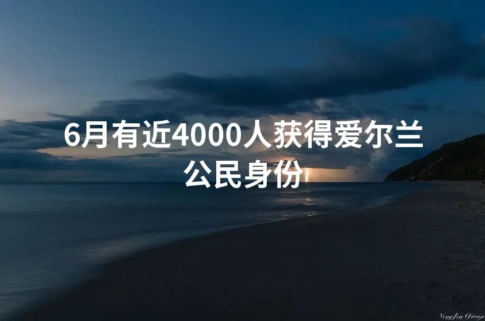 6月有近4000人获得爱尔兰公民身份