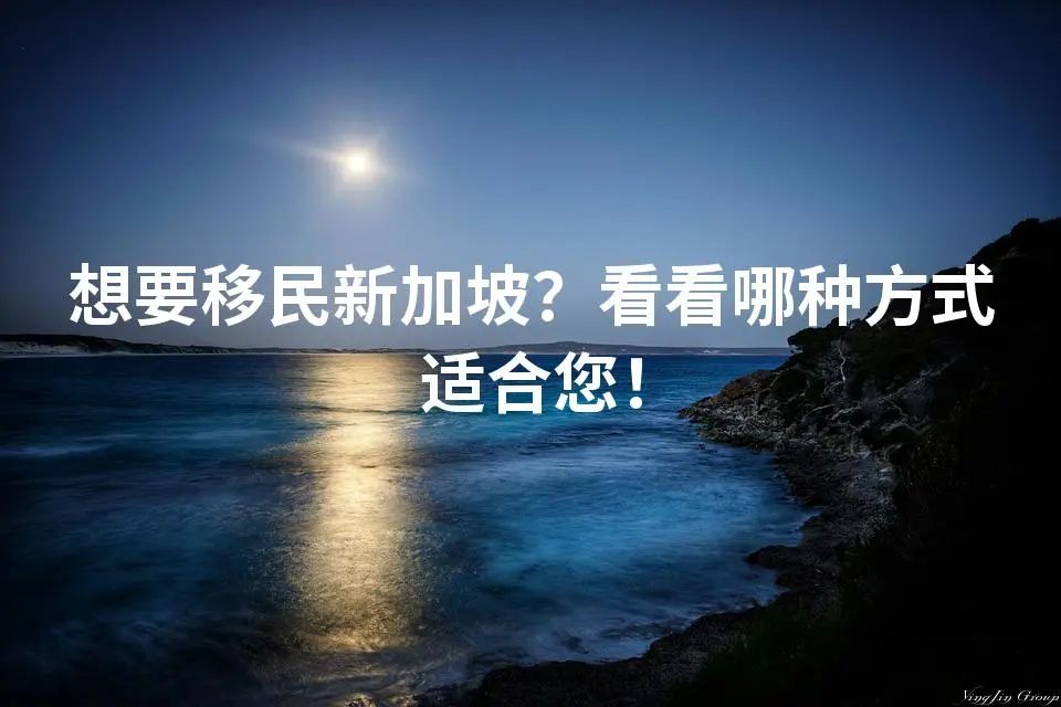 想要移民新加坡？看看哪种方式适合您！