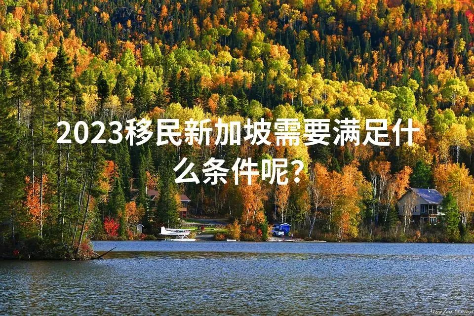 2023移民新加坡需要满足什么条件呢？