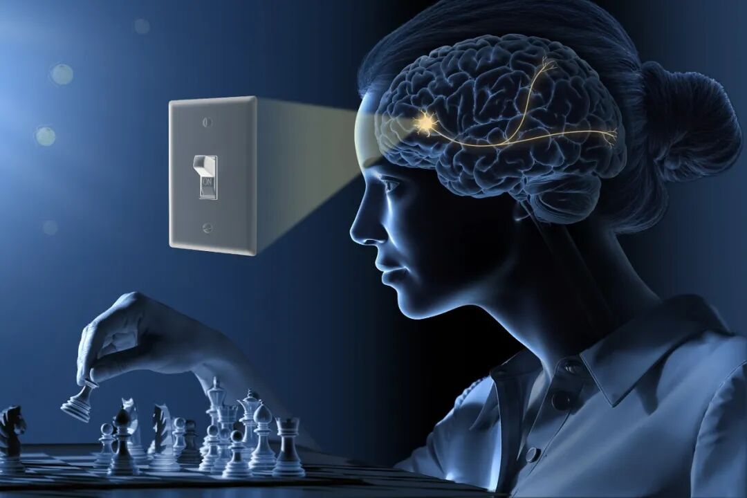 用光干预神经活动的官方示意图。© The Nobel Committee for Physiology or Medicine. Ill. Mattias Karlén