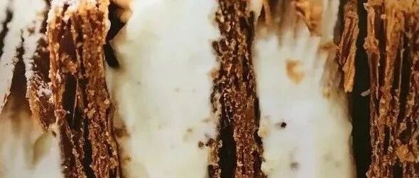 烘焙圈子：香草的美食世界丰富多彩～～香草蛋糕的做法，超简单轻松搞定！