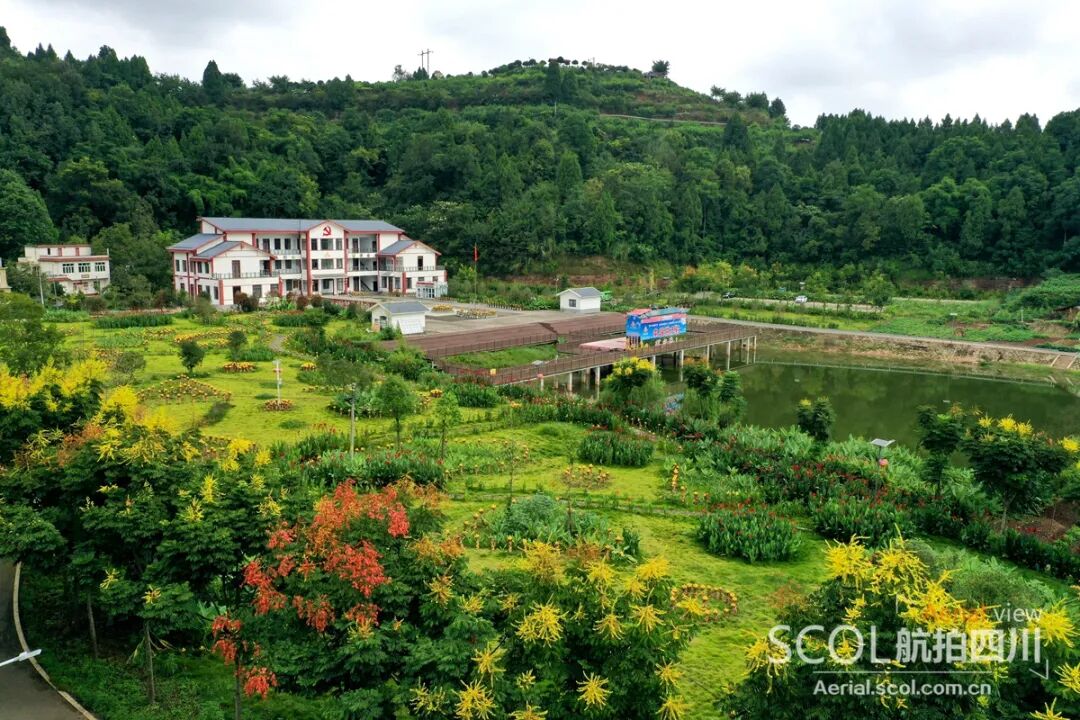 千叶佛莲开遍野瞰蓬溪县美丽新村