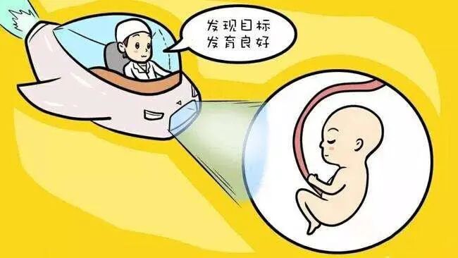 什么是超声容积探头【产检攻略】四维彩超检查，您了解多少？_https://www.jmylbn.com_新闻资讯_第23张