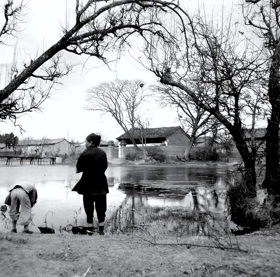 解放前两地下党即将踏入敌人埋伏村口农妇赶着母鸡骂乱跑啥