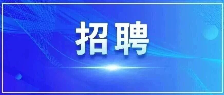 集团公司人才交流（招聘）启事
