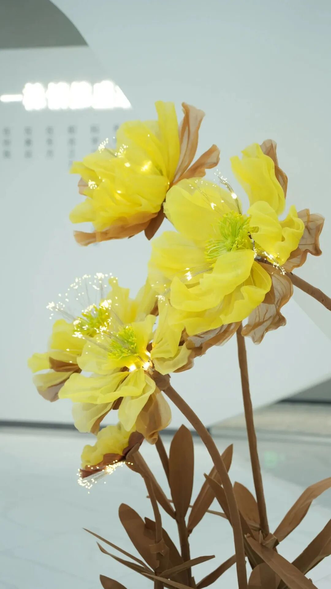 微信图片_2025-09-06_175930_465.jpg