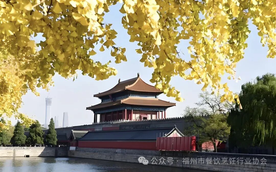 双聚联姻 庚续传奇