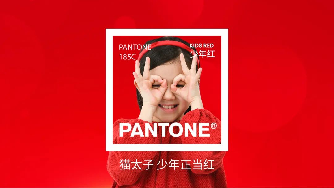 图片[34]｜猫太子丨百万级咨询费的原创案例，知鱼品牌如何帮助企业走回正确的路、实现营收翻盘？｜全营销数字服务平台丨榕媒圈