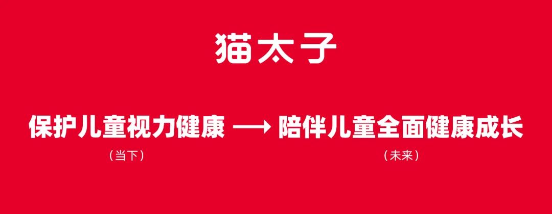 猫太子丨百万级咨询费的原创案例，知鱼品牌如何帮助企业走回正确的路、实现营收翻盘？插图17