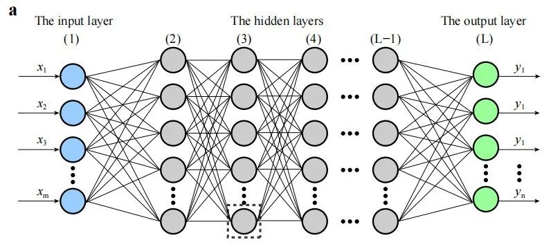 深度学习领域的十大革命性算法