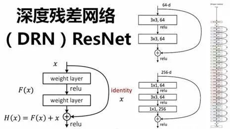 深度学习领域的十大革命性算法