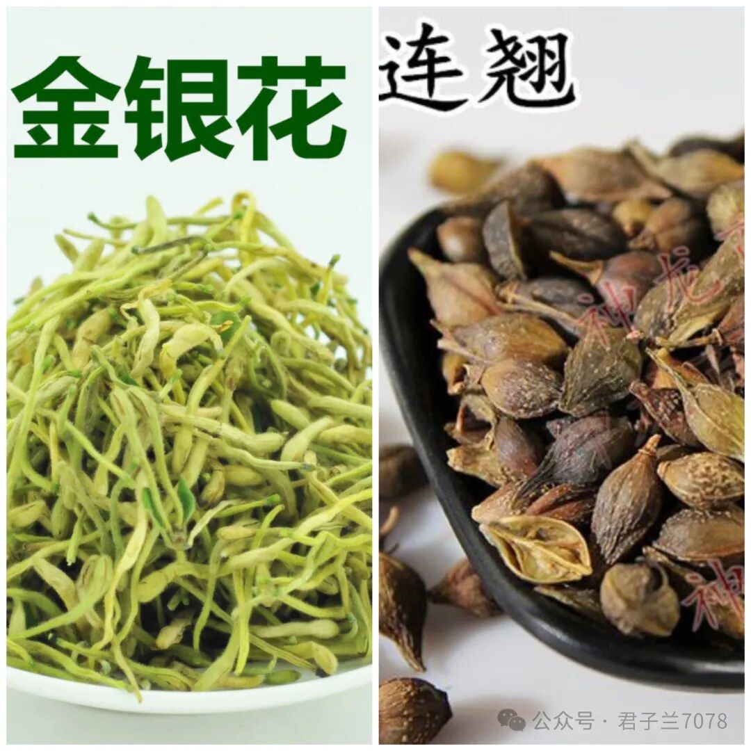 风热感冒，可用这个中成药