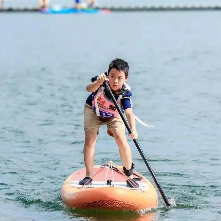 太牛!浙江6年级小孩哥陈泽宇,火了!