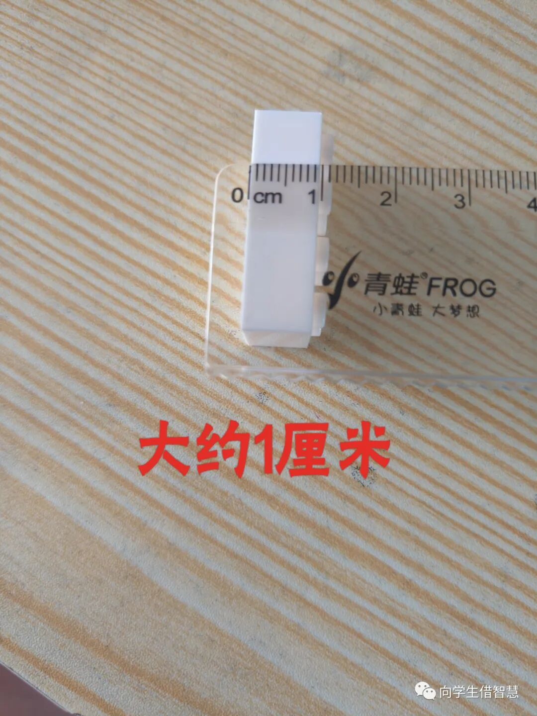 转可视可触可悟在实践中培养量感认识厘米