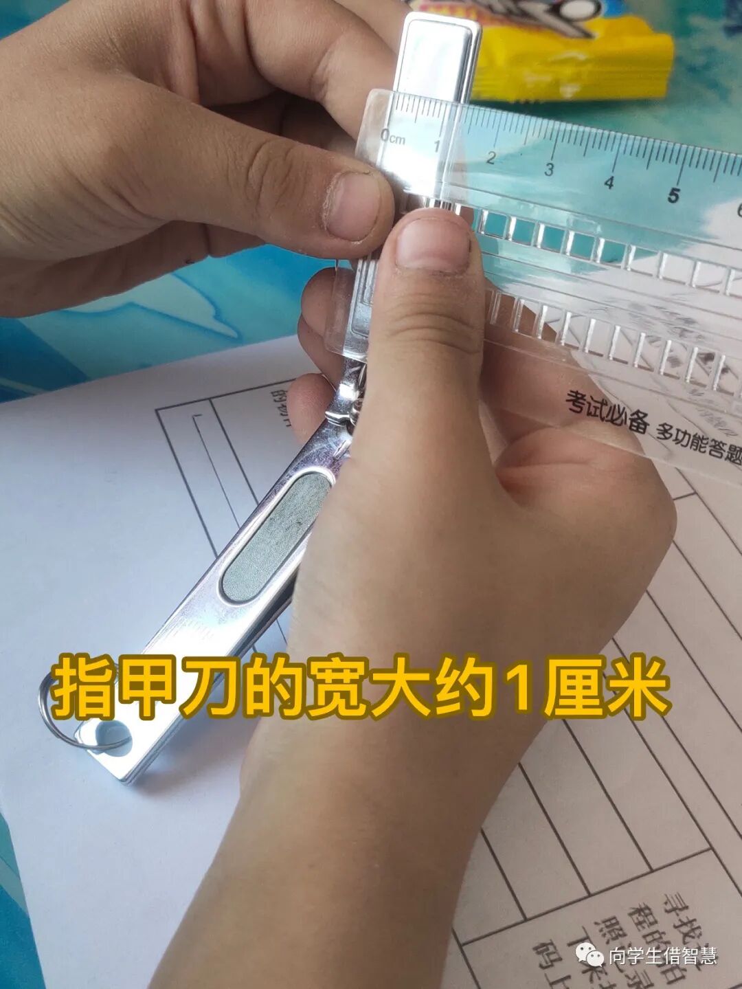 转可视可触可悟在实践中培养量感认识厘米