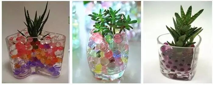 使用水精灵的盆栽。图：国家市场监督管理总局缺陷产品管理中心