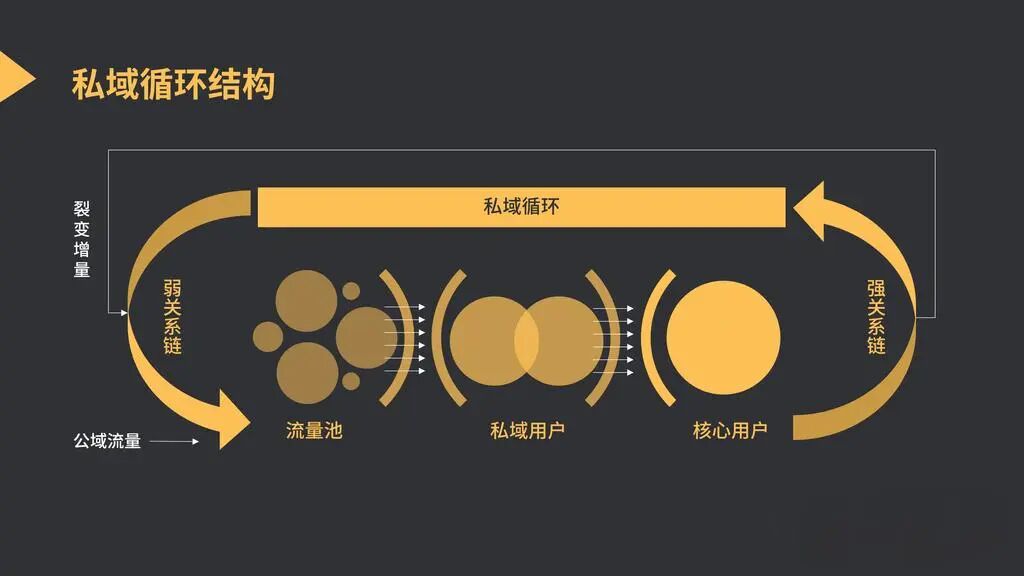 醫美營銷小紅書